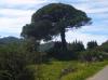 890-agriturismosud-sardegna013.jpg