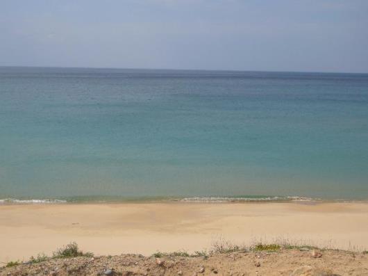 455-dpscamera_0017.jpg