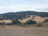 1000-agriturismosardegna096.jpg
